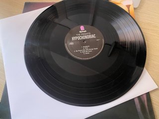 Vinilo The Frights - Hypochondriac LP