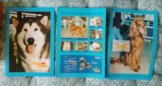 Figuras de Perros Coleccionables