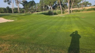 Jardinero, profesional con experiencia