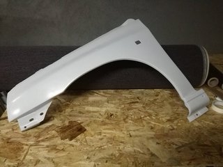 Par Guarda Lamas Renault Clio 1.8 16v Williams