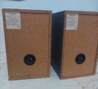 2 Altavoces Pioneer Negro/Plata