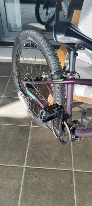 Orbea MX 24 Bicicleta Infantil