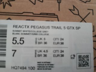 Nike Reactx Pegasus Trail Gore-Tex Running
