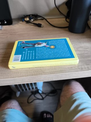 Harry Potter Y La Piedra Filosofal