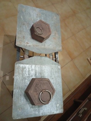 Balanza plegable 50 kg con dos pesos grandes