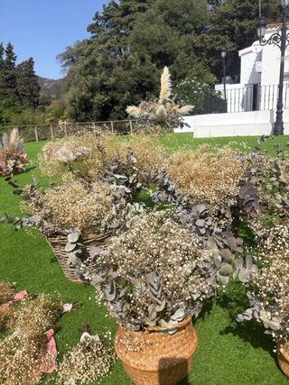12 Cestas variadas Paniculata y Eucalipto preserva