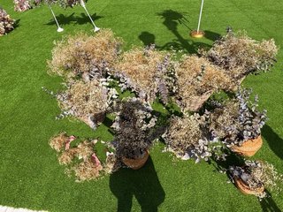 12 Cestas variadas Paniculata y Eucalipto preserva