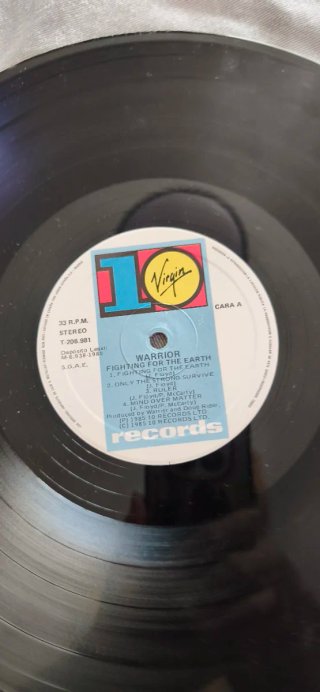 Vinilo Warrior Fighting For The Earth