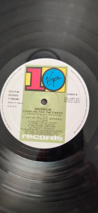 Vinilo Warrior Fighting For The Earth