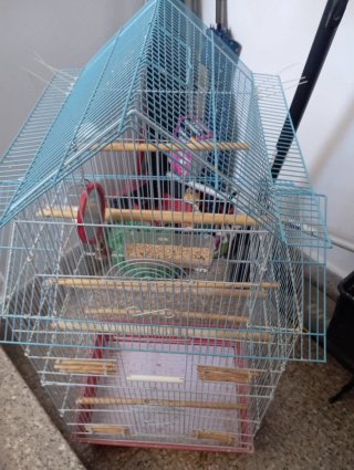 Jaula para pájaros azul y roja