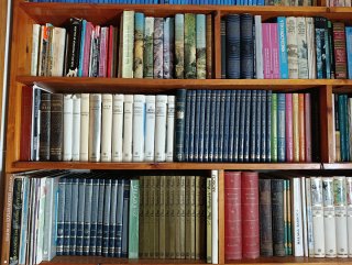 Lote de enciclopedias y libros