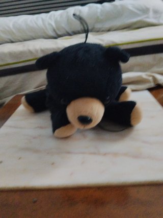 Peluche Oso Negro