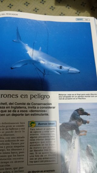 Enciclopedia de pesca, tres tomos