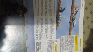 Enciclopedia de pesca, tres tomos