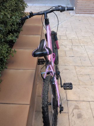 Bicicleta niña 20 rosa