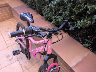 Bicicleta niña 20 rosa