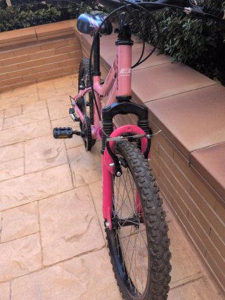 Bicicleta niña 20 rosa