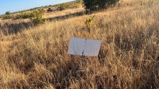 Terrenos agrícola en Fuensalida