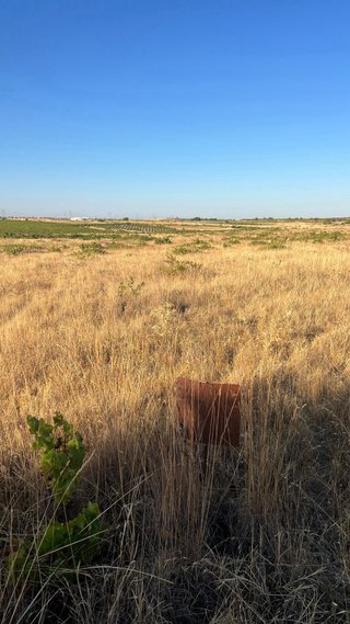 Terrenos agrícola en Fuensalida