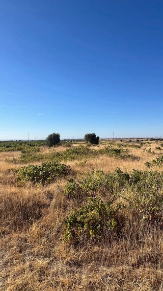 Terrenos agrícola en Fuensalida