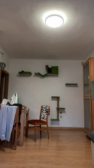 Parque rascador pared gatos