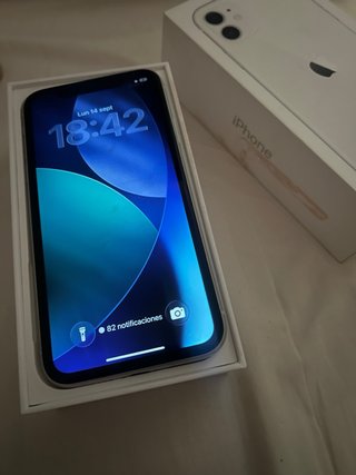iPhone 11 Argento/Bianco