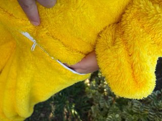 Disfraz Laa-Laa Teletubbies Talla Única