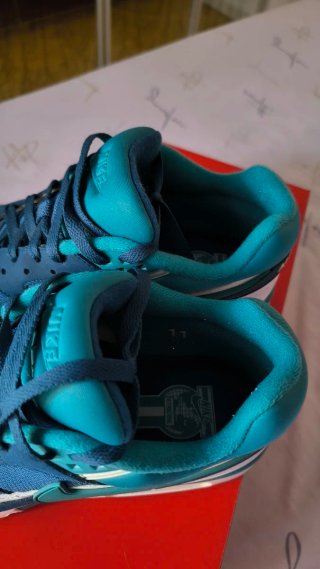 Nike Air Max BW Jade 45