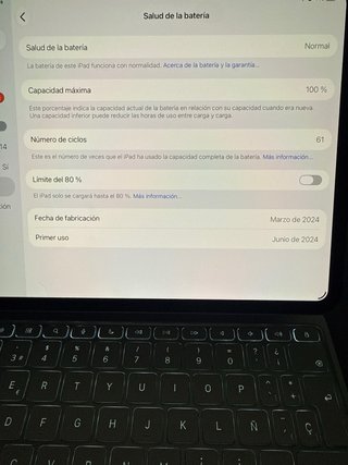 iPad Pro 11 M4 Plata con magic keyboard