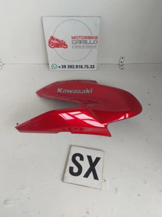 Carena Serbatoio Sinistra Kawasaki Z 900