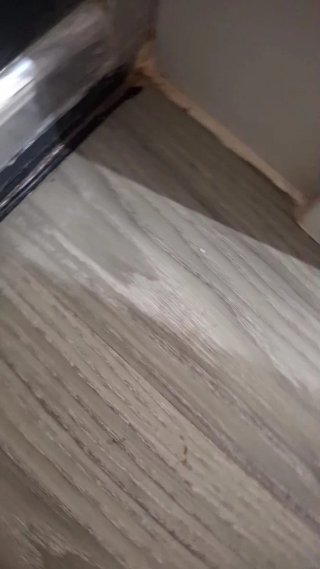 Servicios de construcción y reformas