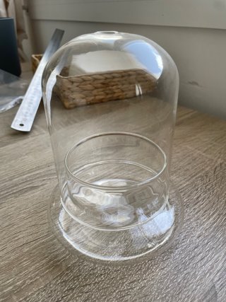 Terrario cristal pequeño