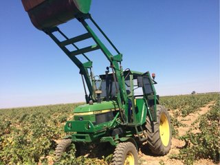 Tractor John Deere 2450M