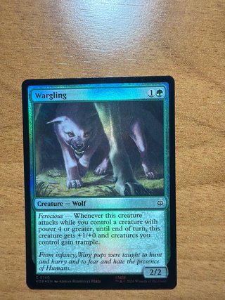 11 Cartas Magic The Hobbit Foil
