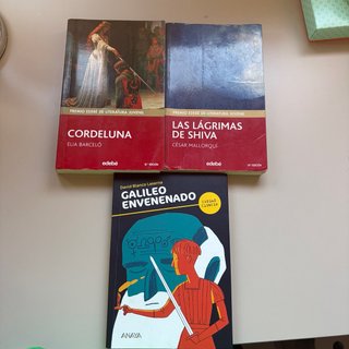 Lote libros juveniles