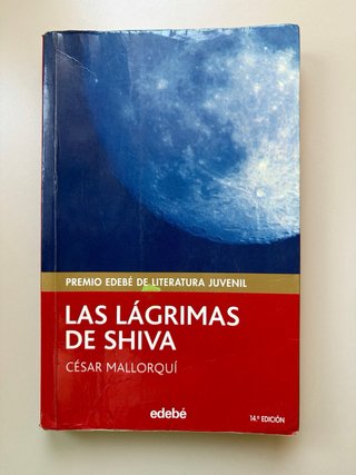 Lote libros juveniles