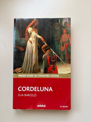 Lote libros juveniles