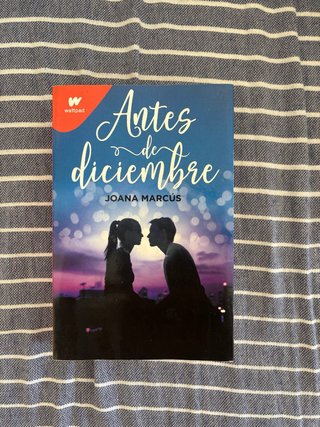 Antes de diciembre libro