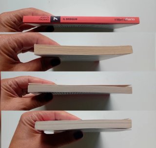 Il broglio,Agente italiano, I libri di diario