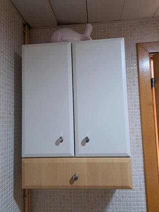 Mueble lavabo con armario (sin grifería)