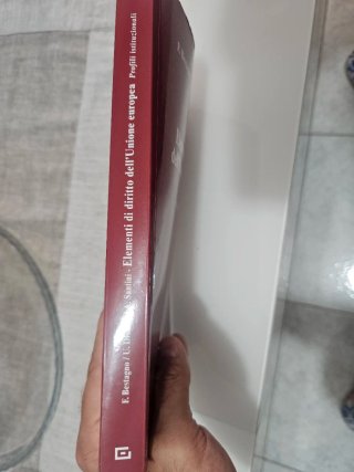 Elementi di diritto dell'Unione Europea. Parte ...