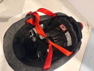 Casco infantil Banwood estampado animales