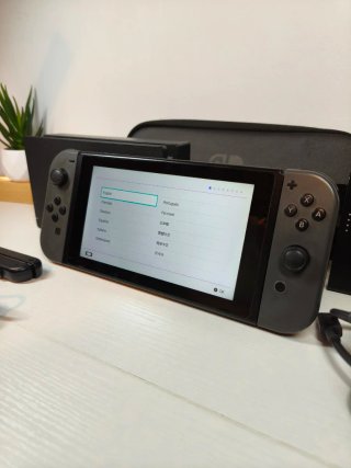 Nintendo Switch in colore Grigio