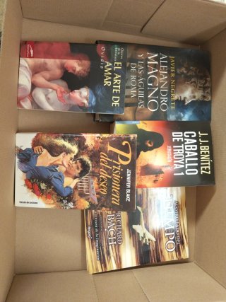 Lote novelas. JJ Benítez. Oviedo. Richard Bach