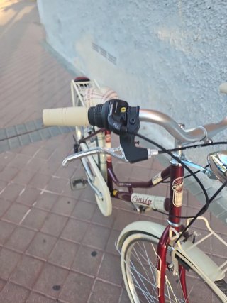Bicicleta Paseo Cinzia Lady Bike