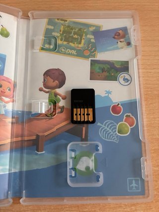 Animal Crossing New Horizons Nintendo Switch