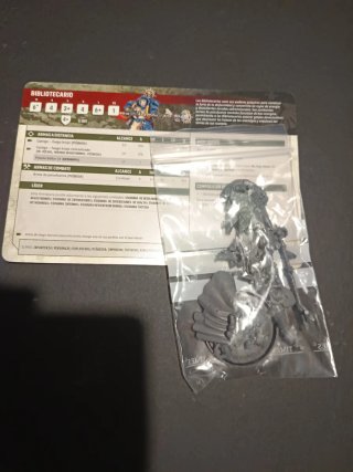Bibliotecario Warhammer 40k - Miniatura y Cartas