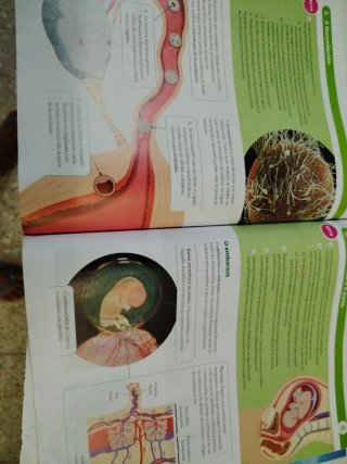 BIOLOXIA E XEOLOXIA 3 ESO CONTRUINDO MUNDOS