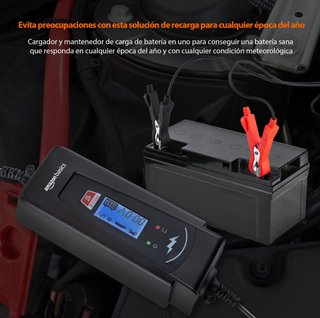Cargador batería automático 2A/4A, 6V/12V CC