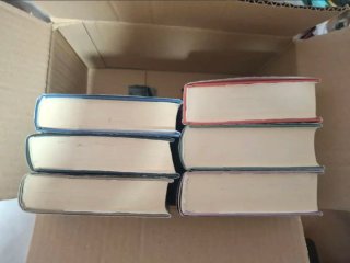 Saga de libros Nicolas Flamel